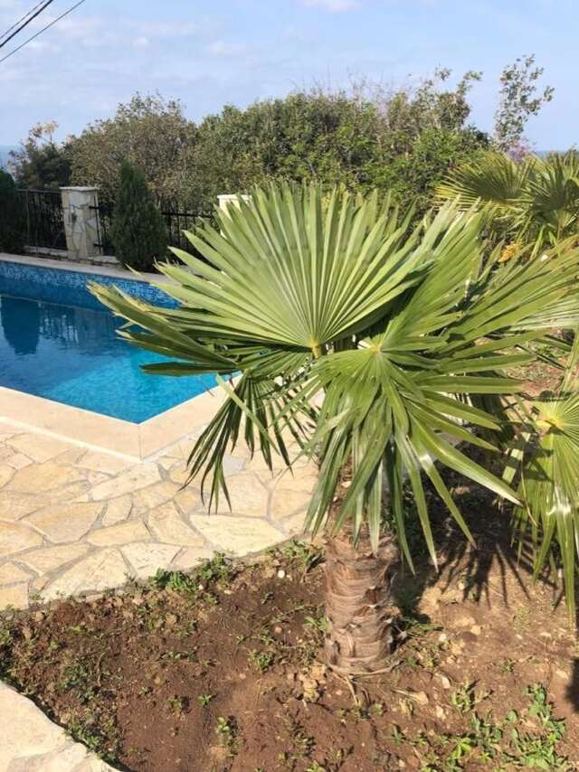 Проживание в семье Villa Senco Добра-Вода-22